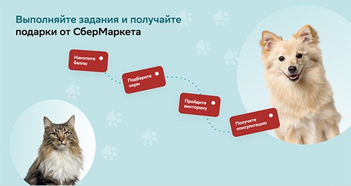 Акция  «Purina One» (Пурина Ван) «Карта заданий питомцев»