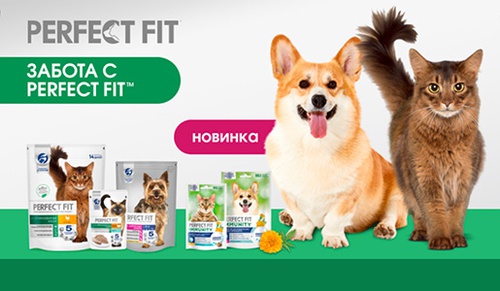 Акция  «Perfect Fit» (Перфект Фит) «Забота с PERFECT FIT™ в Магнит!»