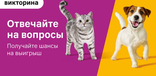 Викторина  «Whiskas» (Вискас) «Отвечайте на вопросы-получайте шансы на призы»