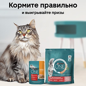 Акция  «Purina One» (Пурина Ван) «Кормите правильно!»